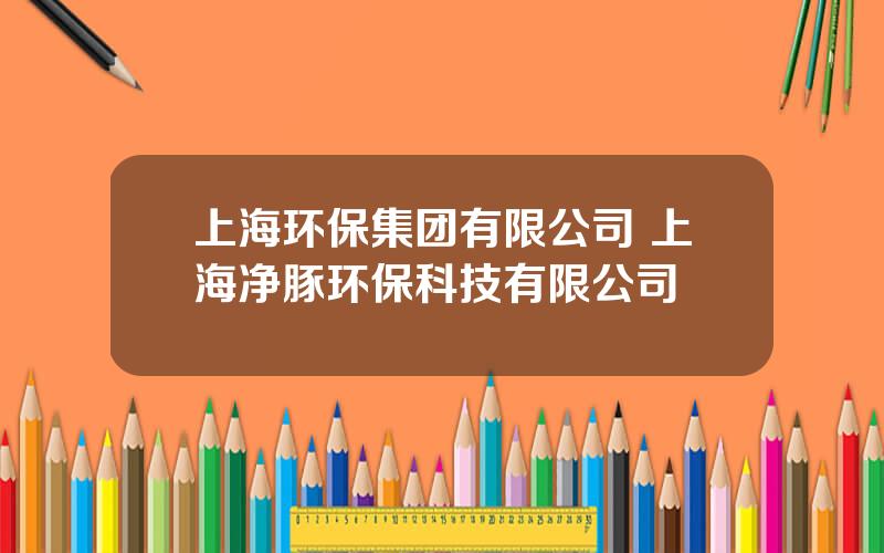 上海环保集团有限公司 上海净豚环保科技有限公司